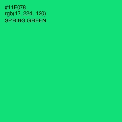 #11E078 - Spring Green Color Image