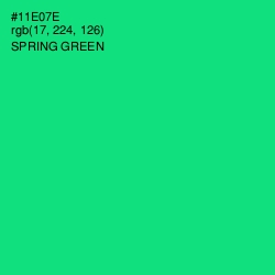 #11E07E - Spring Green Color Image