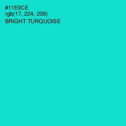 #11E0CE - Bright Turquoise Color Image