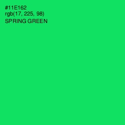 #11E162 - Spring Green Color Image