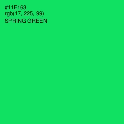 #11E163 - Spring Green Color Image