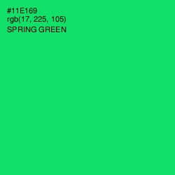 #11E169 - Spring Green Color Image