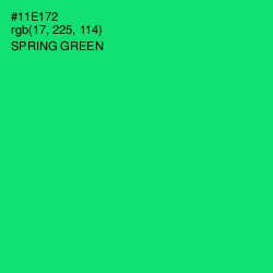 #11E172 - Spring Green Color Image
