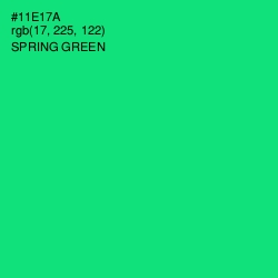 #11E17A - Spring Green Color Image