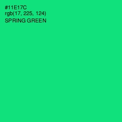 #11E17C - Spring Green Color Image