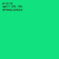 #11E17E - Spring Green Color Image