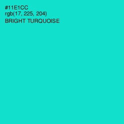 #11E1CC - Bright Turquoise Color Image