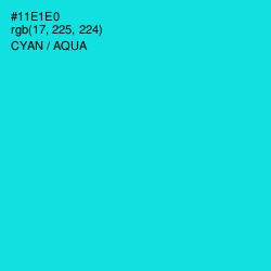 #11E1E0 - Cyan / Aqua Color Image