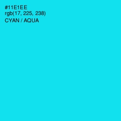 #11E1EE - Cyan / Aqua Color Image