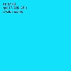 #11E1FB - Cyan / Aqua Color Image