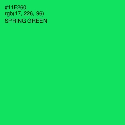 #11E260 - Spring Green Color Image