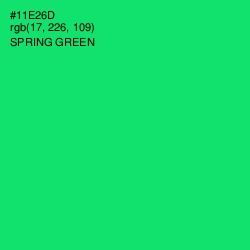#11E26D - Spring Green Color Image
