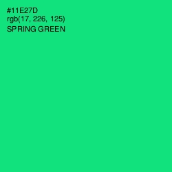 #11E27D - Spring Green Color Image