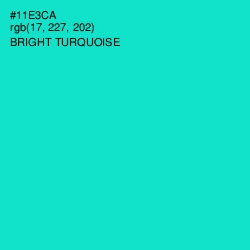 #11E3CA - Bright Turquoise Color Image