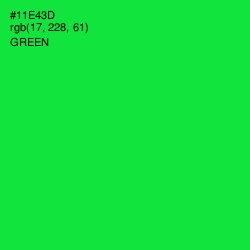 #11E43D - Green Color Image