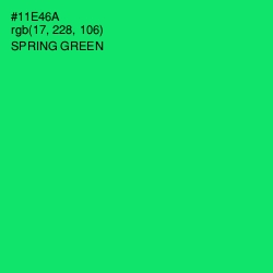 #11E46A - Spring Green Color Image