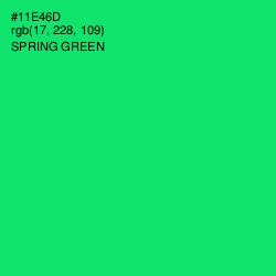 #11E46D - Spring Green Color Image