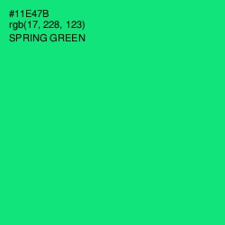 #11E47B - Spring Green Color Image
