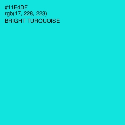 #11E4DF - Bright Turquoise Color Image