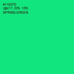 #11E57D - Spring Green Color Image