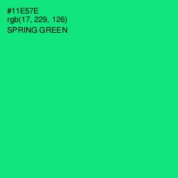 #11E57E - Spring Green Color Image