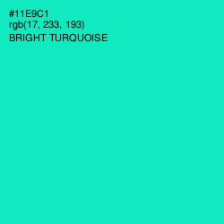 #11E9C1 - Bright Turquoise Color Image