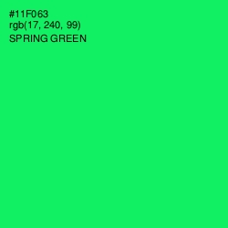 #11F063 - Spring Green Color Image