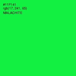 #11F141 - Malachite Color Image