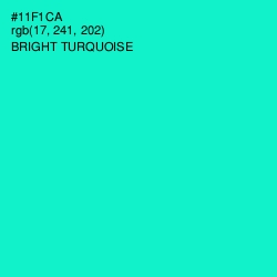 #11F1CA - Bright Turquoise Color Image