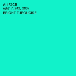 #11F2CB - Bright Turquoise Color Image