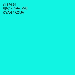 #11F4E4 - Cyan / Aqua Color Image