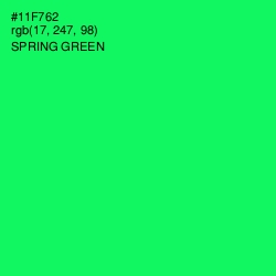 #11F762 - Spring Green Color Image