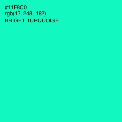 #11F8C0 - Bright Turquoise Color Image