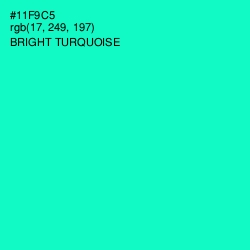 #11F9C5 - Bright Turquoise Color Image