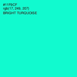 #11F9CF - Bright Turquoise Color Image