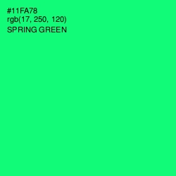 #11FA78 - Spring Green Color Image