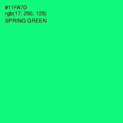 #11FA7D - Spring Green Color Image