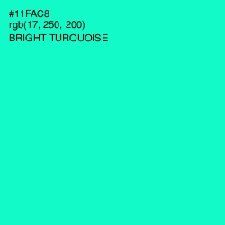 #11FAC8 - Bright Turquoise Color Image