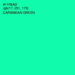 #11FBAD - Caribbean Green Color Image