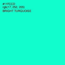 #11FCCD - Bright Turquoise Color Image