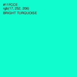 #11FCCE - Bright Turquoise Color Image