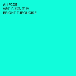 #11FCDB - Bright Turquoise Color Image