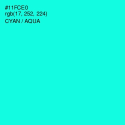 #11FCE0 - Cyan / Aqua Color Image
