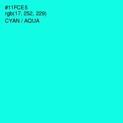 #11FCE5 - Cyan / Aqua Color Image