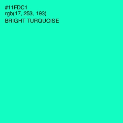 #11FDC1 - Bright Turquoise Color Image