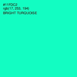 #11FDC2 - Bright Turquoise Color Image