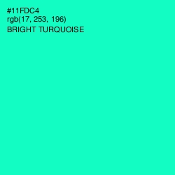 #11FDC4 - Bright Turquoise Color Image