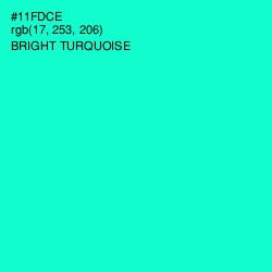 #11FDCE - Bright Turquoise Color Image