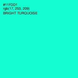 #11FDD1 - Bright Turquoise Color Image