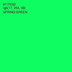 #11FE62 - Spring Green Color Image